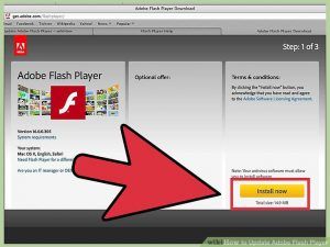 Adobe flash player chrome install